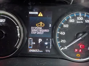 Dash cluster showing "EV System Service Required Stop Safely" and other warnings